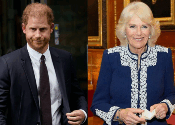 Rencontre entre Charles III et Harry, l’avis mitigé de Camilla : “Elle ne pardonnera pas facilement”