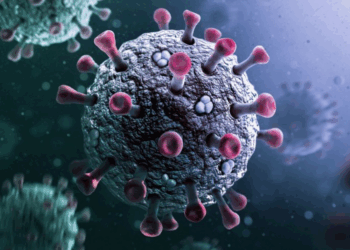 Covid-19 : « un début de nouvelle vague épidémique en Normandie » alertent les autorités