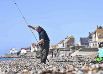 Pêche de loisir : il faudra déclarer ses poissons dès le 10 janvier 2026