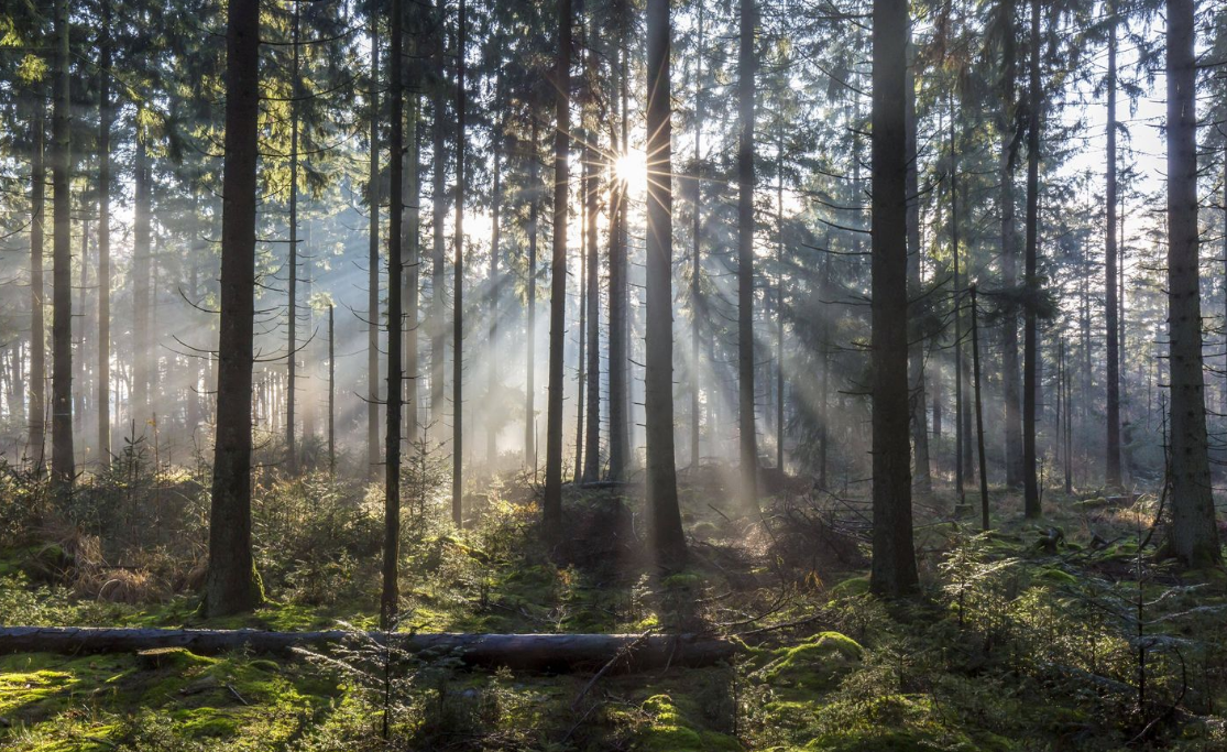 Capture decran 2025 09 26 170038