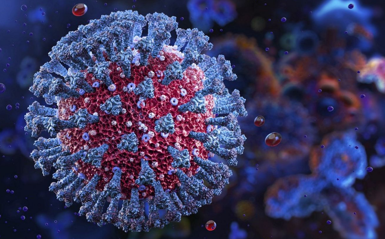 Capture decran 2025 09 26 225313