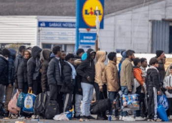« Les deux premières choses que font les clandestins à leur arrivée en France… », un juriste tire la sonnette d&rsquo;alarme