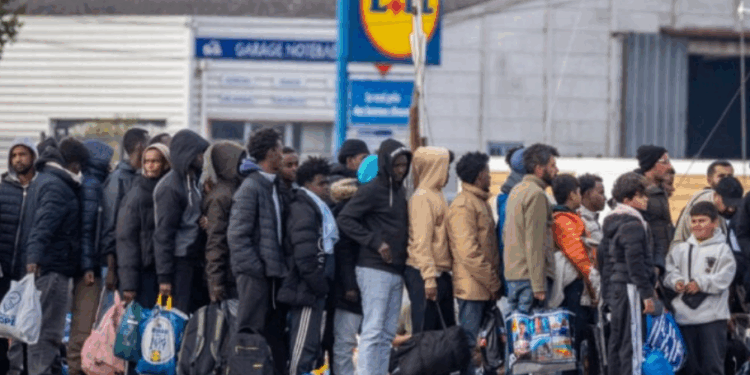 "Les deux premières choses que font les clandestins à leur arrivée en France…", un juriste tire la sonnette d'alarme 1 "Les deux premières choses que font les clandestins à leur arrivée en France…", un juriste tire la sonnette d'alarme Capture decran 2025 09 29 181404