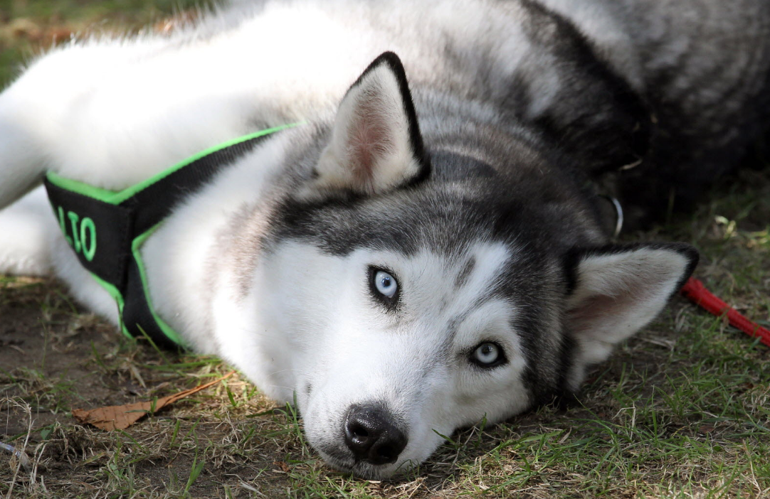 Capture decran 2025 09 29 191200