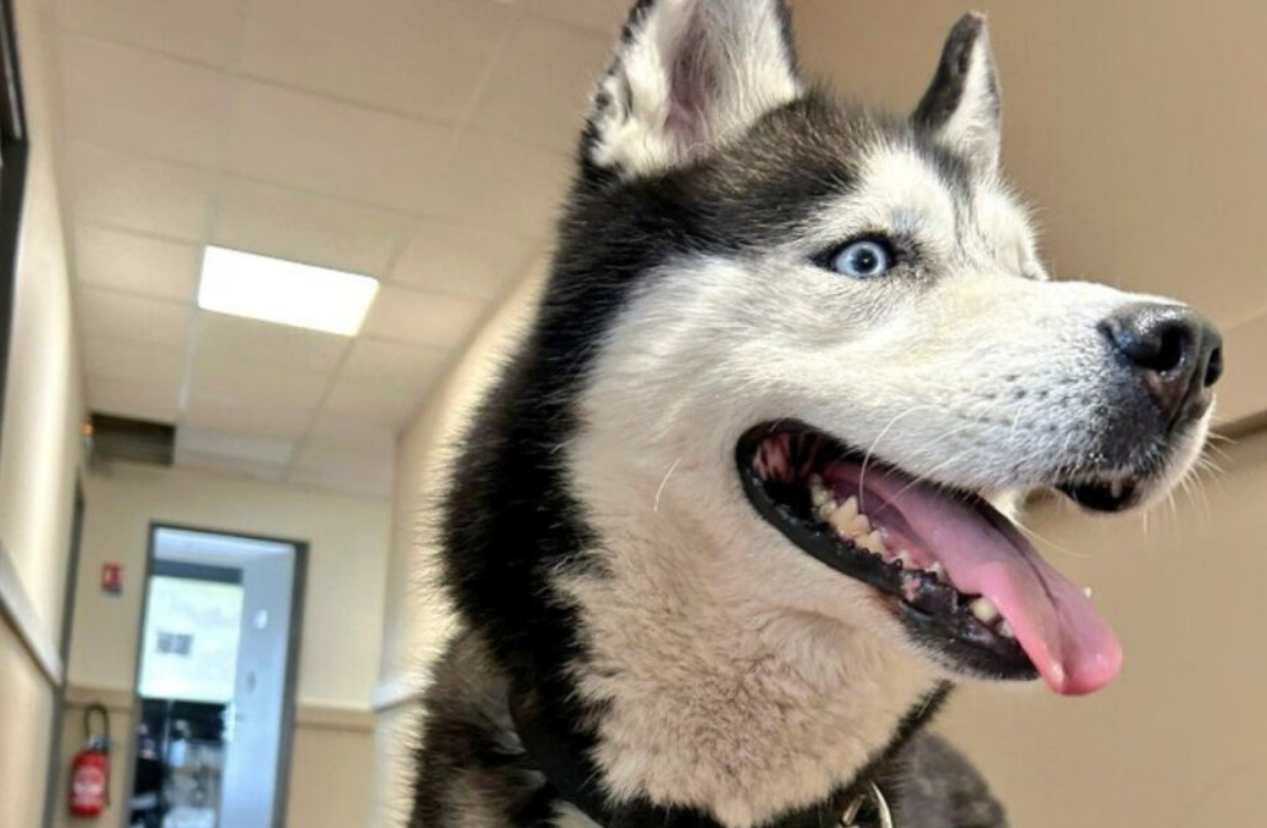 Capture decran 2025 09 29 191206