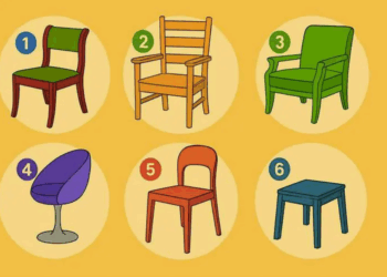 Sur quelle chaise vous assiérez-vous ? Un test étonnamment précis de votre personnalité