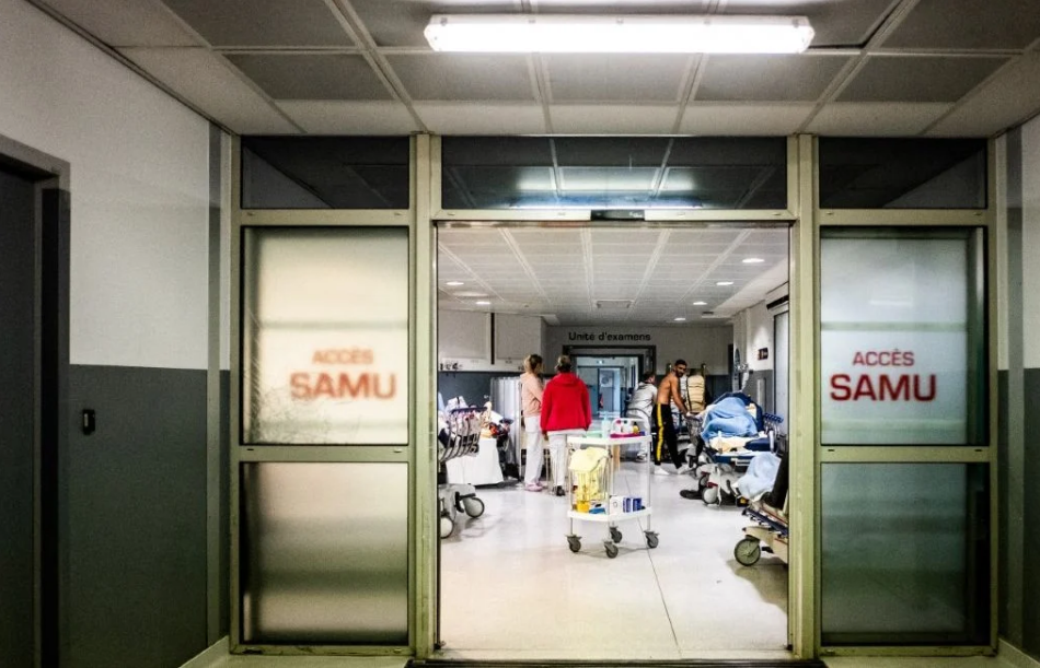 Perpignan : Un cas mortel rarissime de rage… Quels sont les symptômes de la maladie ? 2 Perpignan : Un cas mortel rarissime de rage… Quels sont les symptômes de la maladie ? Capture decran 2025 10 01 145924