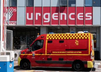 Perpignan : Un cas mortel rarissime de rage… Quels sont les symptômes de la maladie ?