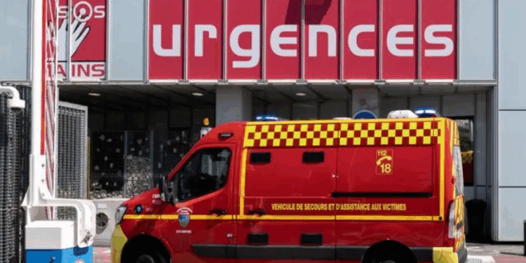 Perpignan : Un cas mortel rarissime de rage… Quels sont les symptômes de la maladie ? 1 Perpignan : Un cas mortel rarissime de rage… Quels sont les symptômes de la maladie ? Capture decran 2025 10 01 145930