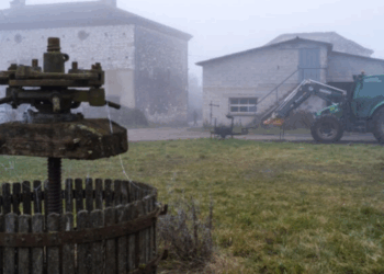 Delphine Jubillar : « Une déchetterie », rouille, humidité, câbles dénudés… les images de sa maison sont à glacer le sang