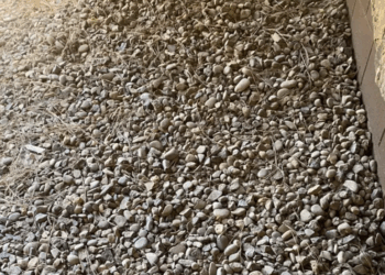 Seules les personnes avec un QI très élevé peuvent trouver la clé sur cette image : y parviendrez-vous ?