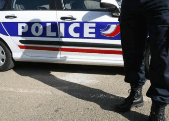 Isère : Un maire attaqué par le chien d’un adolescent de 17 ans