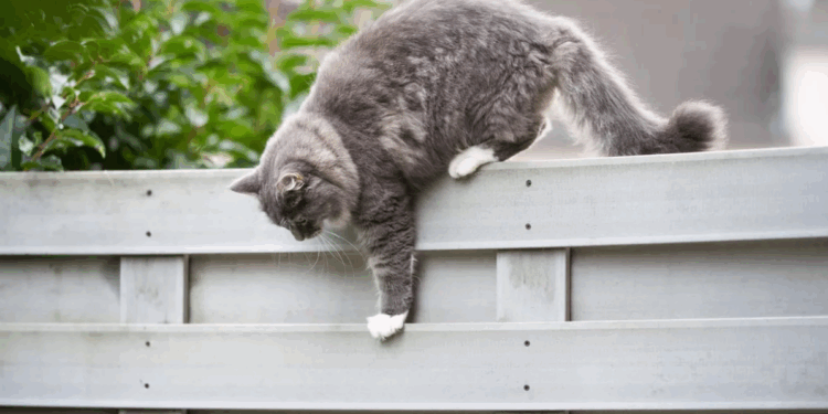 Capture decran 2025 10 06 131700