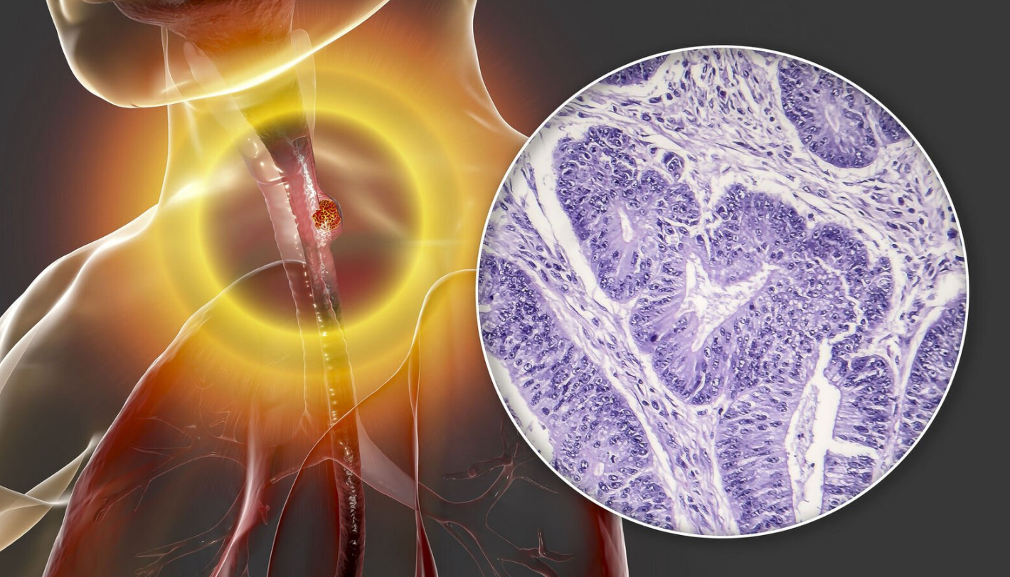 Capture decran 2025 10 08 203016