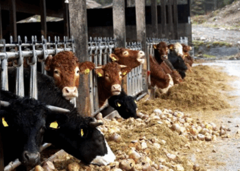 Un agriculteur de la Somme poursuivi pour avoir débuté son activité à 6 heures du matin 17 Un agriculteur de la Somme poursuivi pour avoir débuté son activité à 6 heures du matin Un agriculteur de la Somme poursuivi pour avoir débuté son activité à 6 heures du matin