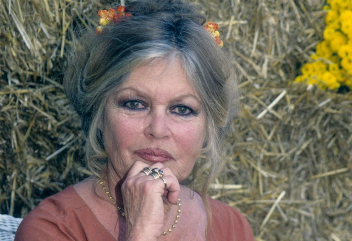 Capture decran 2025 10 17 142846