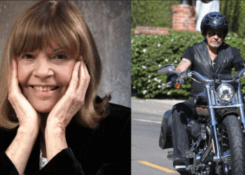 8 ans après sa disparition, Chantal Goya (83 ans) révèle sa relation avec Johnny Hallyday : "On était complètement ouverts" 1 8 ans après sa disparition, Chantal Goya (83 ans) révèle sa relation avec Johnny Hallyday : "On était complètement ouverts" 8 ans après sa disparition, Chantal Goya (83 ans) révèle sa relation avec Johnny Hallyday : « On était complètement ouverts »