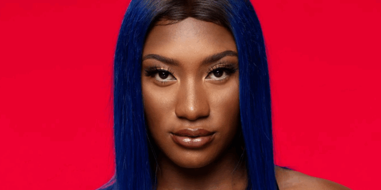 "J’crois que c’est l’heure": Aya Nakamura annonce un nouvel album et un concert au Stade de France 1 "J’crois que c’est l’heure": Aya Nakamura annonce un nouvel album et un concert au Stade de France Capture decran 2025 10 25 005343