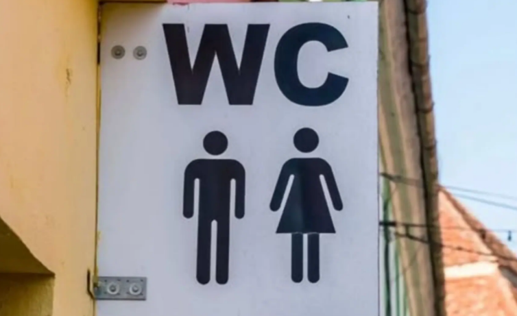 Que veut vraiment dire « WC » sur les portes des toilettes ? 4 Que veut vraiment dire « WC » sur les portes des toilettes ? Capture decran 2025 10 28 225443 e1761688578134