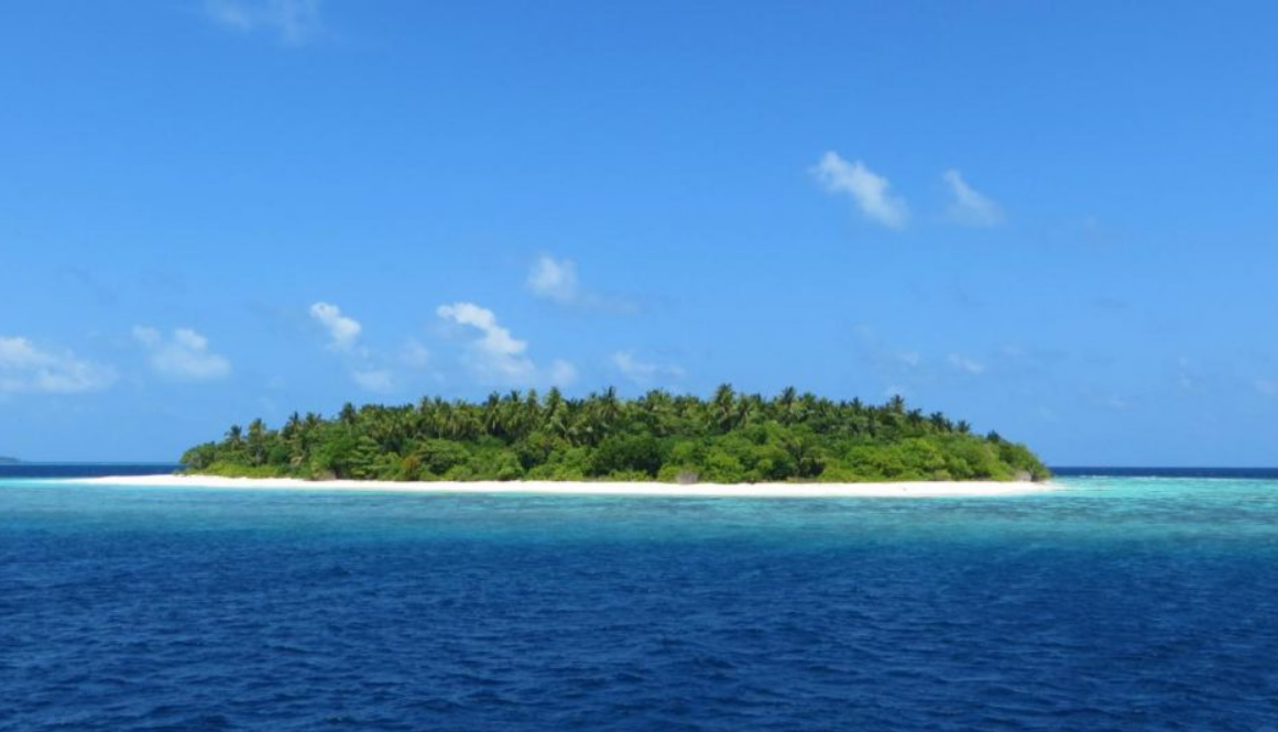 Le paquebot de croisière l’oublie sur une île quasi déserte, elle est retrouvée sans vie sur place le lendemain 3 Le paquebot de croisière l’oublie sur une île quasi déserte, elle est retrouvée sans vie sur place le lendemain Capture decran 2025 10 30 105722