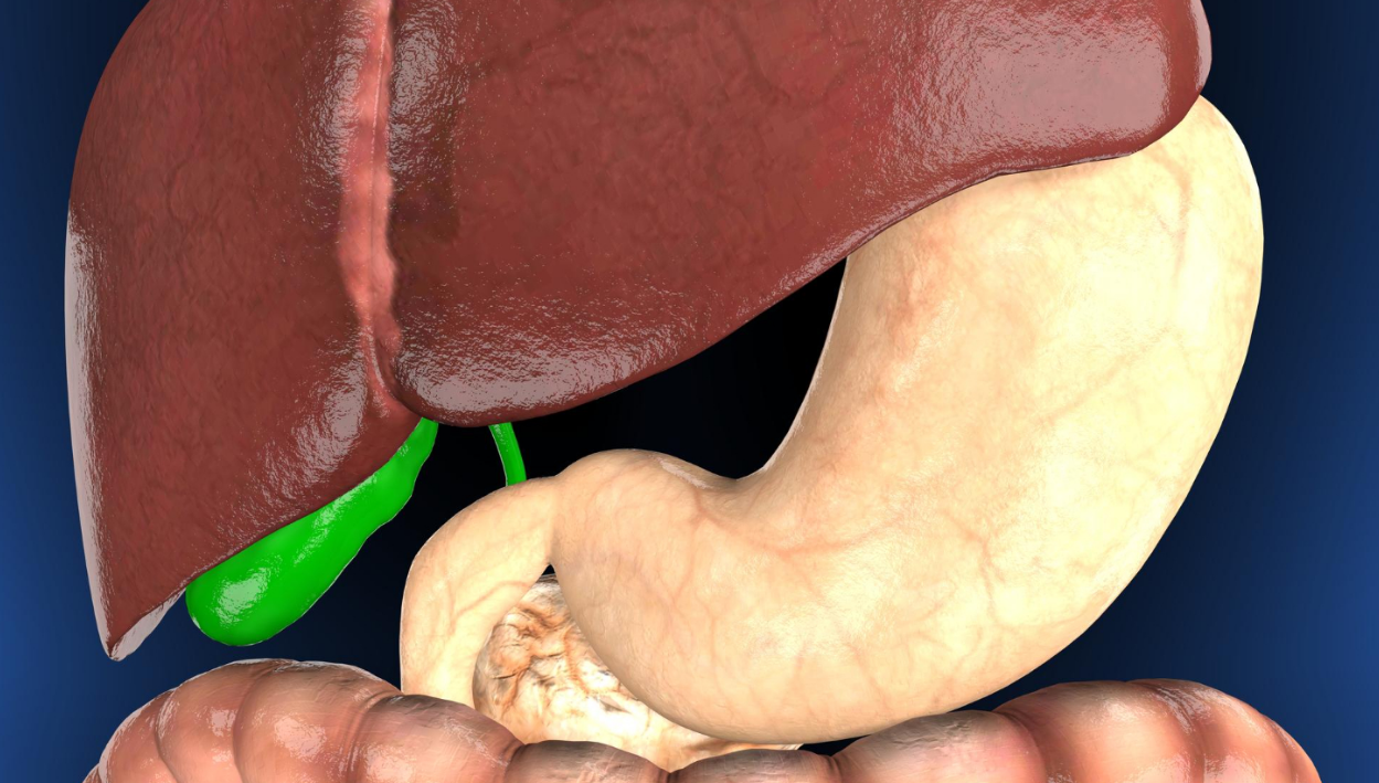 Capture decran 2025 11 01 013721