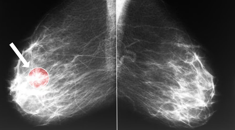 Capture decran 2025 11 03 092439