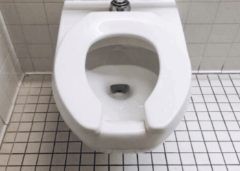 Pourquoi les toilettes pour femme ont un espace vide devant aux États-Unis ?