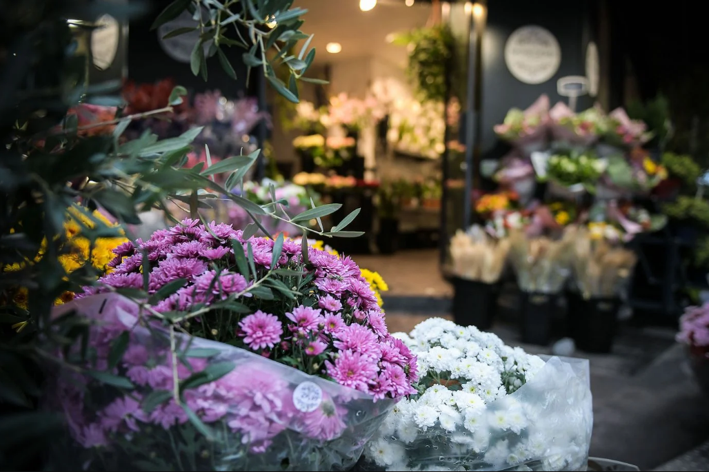 Capture decran 2025 11 04 104448