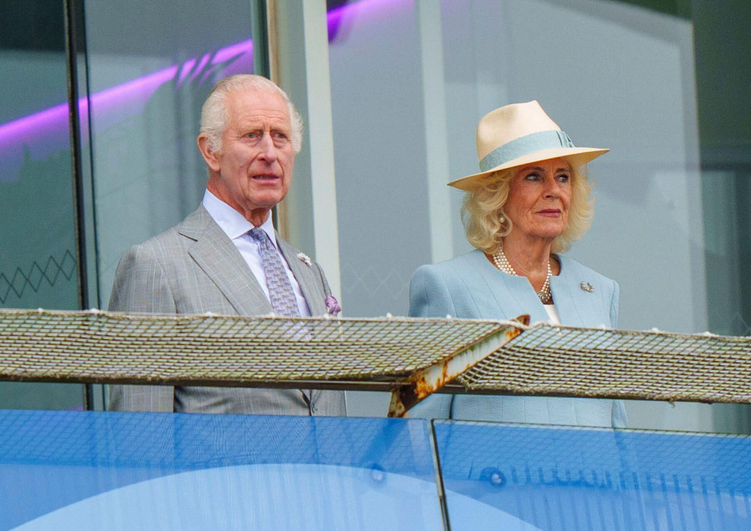 Capture decran 2025 11 11 130819