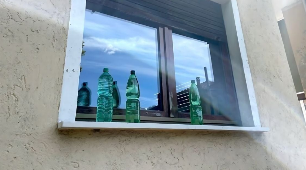 Capture decran 2025 11 11 231136