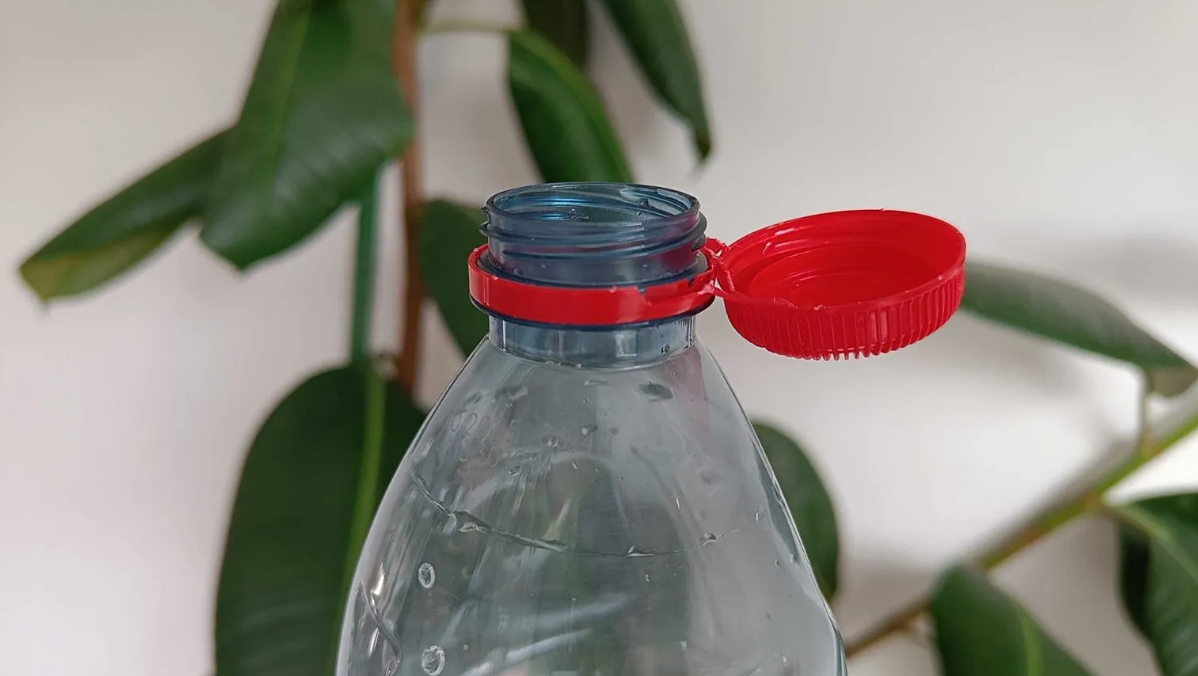 Pourquoi accrocher des bouteilles en plastique sur le balcon ou à la fenêtre ? Cette astuce qui marche même en hiver 3 Pourquoi accrocher des bouteilles en plastique sur le balcon ou à la fenêtre ? Cette astuce qui marche même en hiver Capture decran 2025 11 11 231143