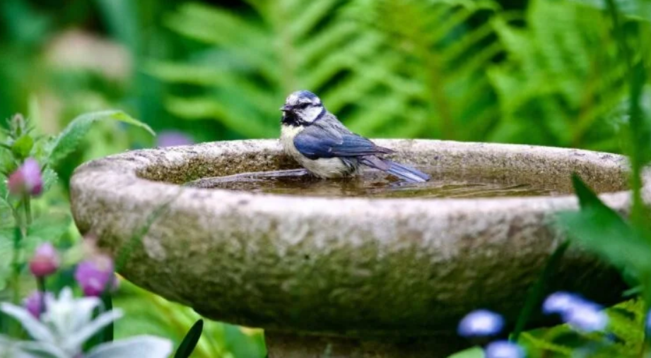 Capture decran 2025 11 12 115740