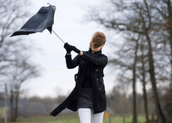 Tempête Claudia. Un vent violent va balayer la France, les départements en vigilance ce mercredi 1 Tempête Claudia. Un vent violent va balayer la France, les départements en vigilance ce mercredi Tempête Claudia. Un vent violent va balayer la France, les départements en vigilance ce mercredi