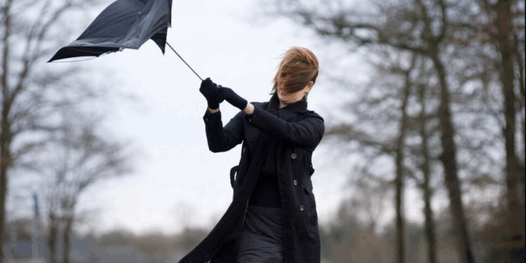 Capture decran 2025 11 12 164349