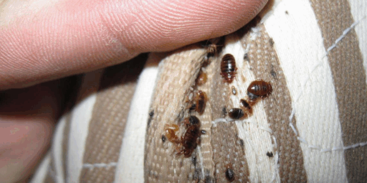 Capture decran 2025 11 12 165502