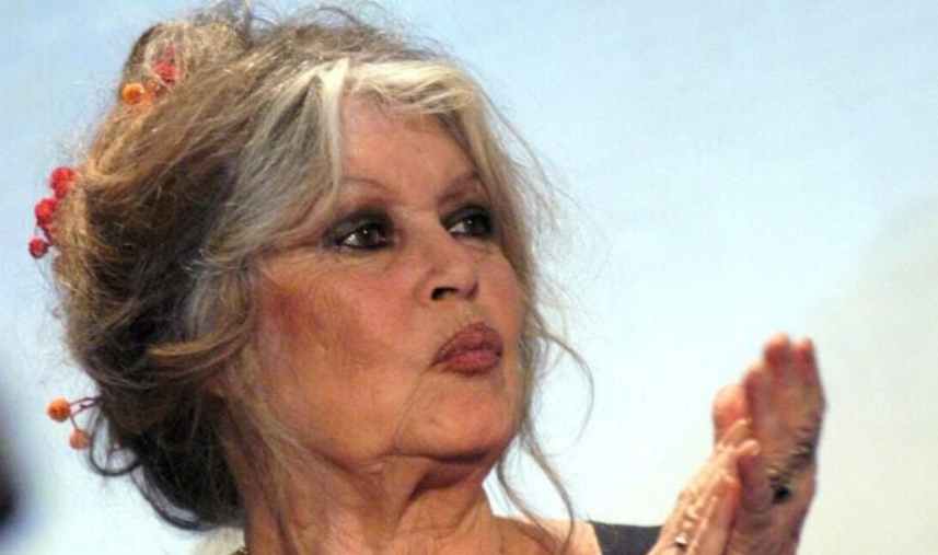 Brigitte Bardot, 91 ans, sans gêne sur sa vie intime : "Je suis coincée" 2 Brigitte Bardot, 91 ans, sans gêne sur sa vie intime : "Je suis coincée" Capture decran 2025 11 12 171053