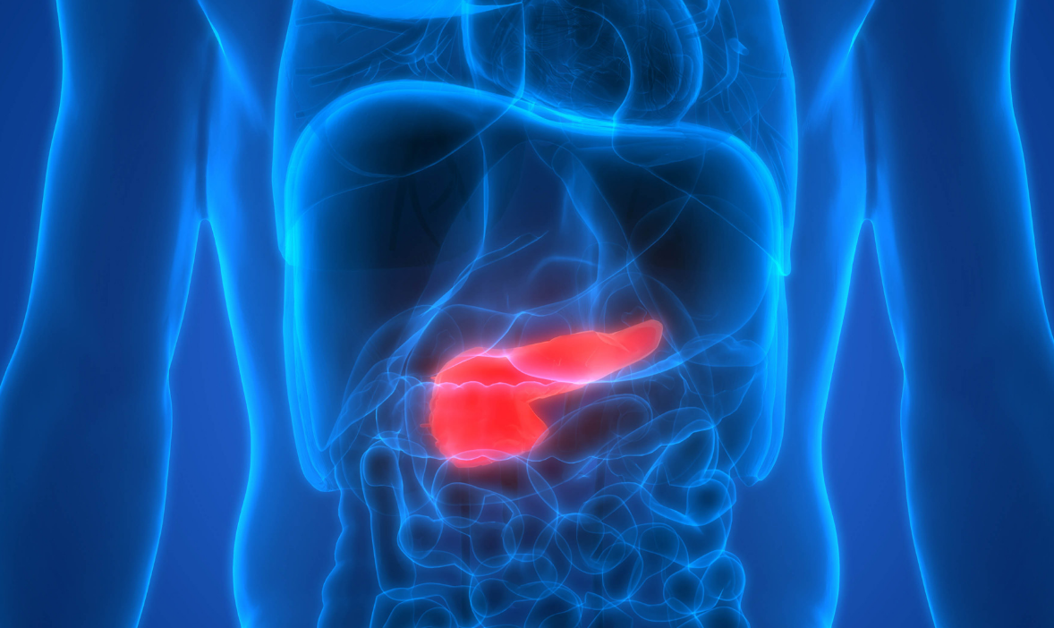 Capture decran 2025 11 13 091851