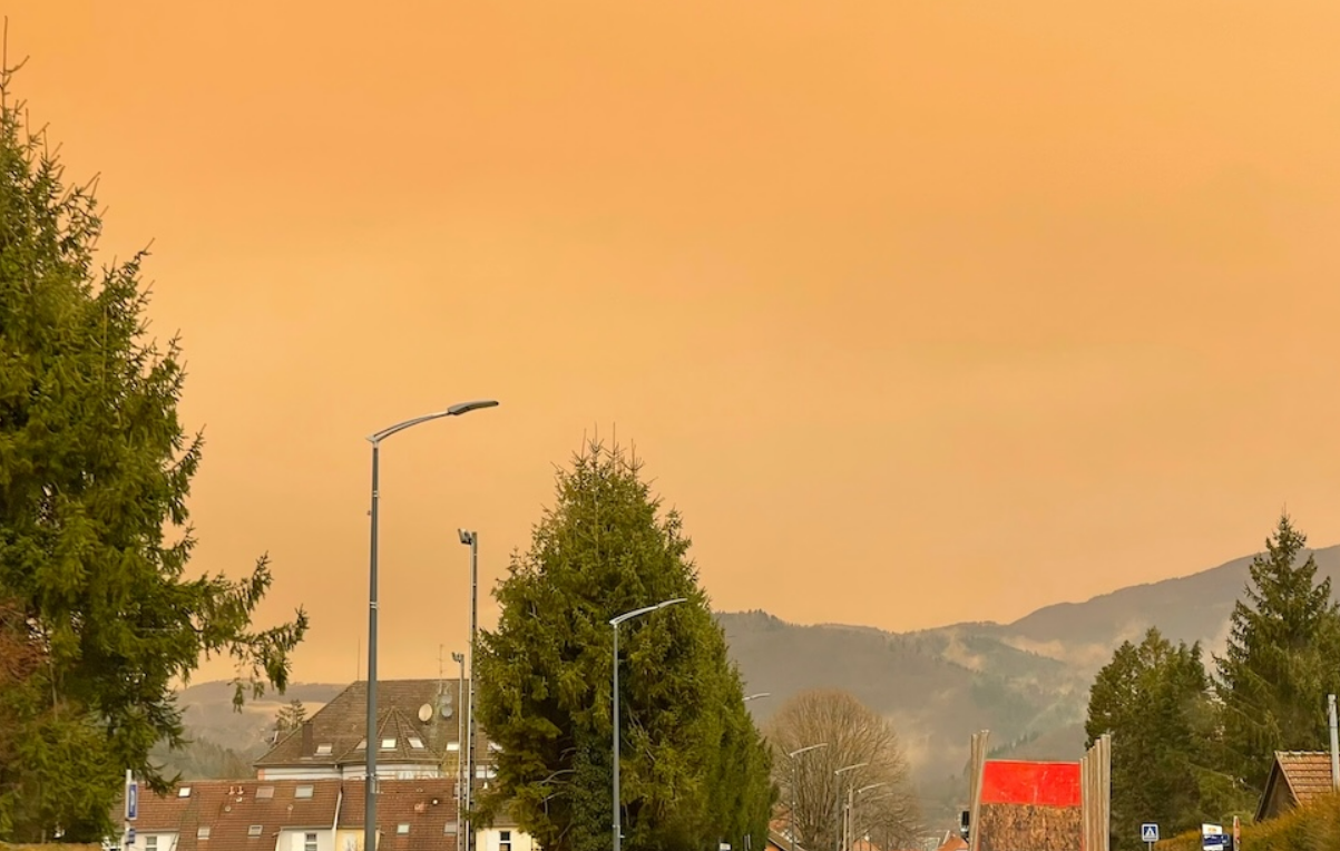 Capture decran 2025 11 13 155111