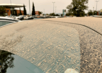 La tempête Claudia arrive en France : attention, du sable du Sahara va se répandre, voici les zones concernées 9 La tempête Claudia arrive en France : attention, du sable du Sahara va se répandre, voici les zones concernées La tempête Claudia arrive en France : attention, du sable du Sahara va se répandre, voici les zones concernées