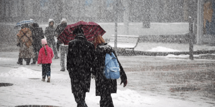 Les météorologues préviennent : un "décrochage polaire" va toucher la France la semaine prochaine 1 Les météorologues préviennent : un "décrochage polaire" va toucher la France la semaine prochaine Capture decran 2025 11 14 184713