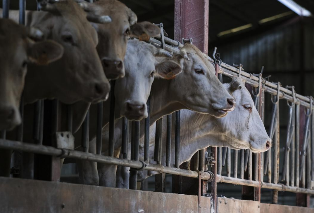 Capture decran 2025 11 14 211032