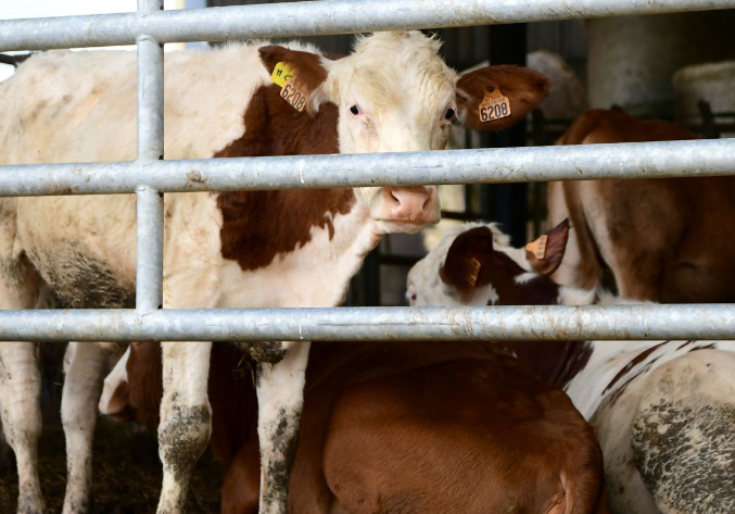 Capture decran 2025 11 14 211040