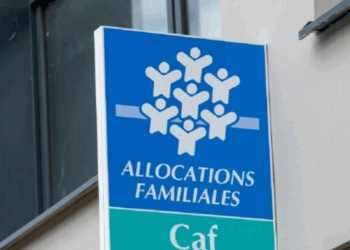 RSA, CAF, APL : vers une aide sociale unique en 2026 ? Voici ce que prévoit le projet de loi