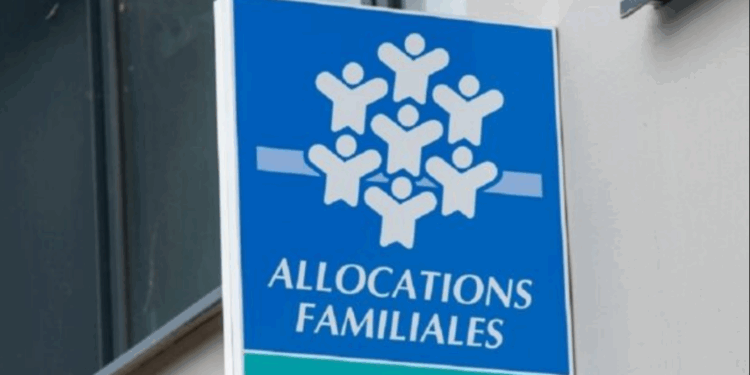 RSA, CAF, APL : vers une aide sociale unique en 2026 ? Voici ce que prévoit le projet de loi 1 RSA, CAF, APL : vers une aide sociale unique en 2026 ? Voici ce que prévoit le projet de loi Capture decran 2025 11 17 161615