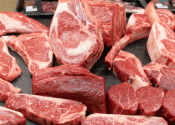 Ce boucher est clair : ce morceau de viande peu connu revient 3 fois moins cher pour réaliser votre blanquette 16 Ce boucher est clair : ce morceau de viande peu connu revient 3 fois moins cher pour réaliser votre blanquette Ce boucher est clair : ce morceau de viande peu connu revient 3 fois moins cher pour réaliser votre blanquette