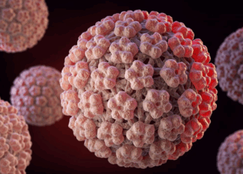 IST : un homme sur trois est porteur du papillomavirus 6 IST : un homme sur trois est porteur du papillomavirus IST : un homme sur trois est porteur du papillomavirus