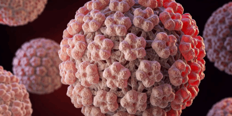 IST : un homme sur trois est porteur du papillomavirus 1 IST : un homme sur trois est porteur du papillomavirus Capture decran 2025 11 19 094714