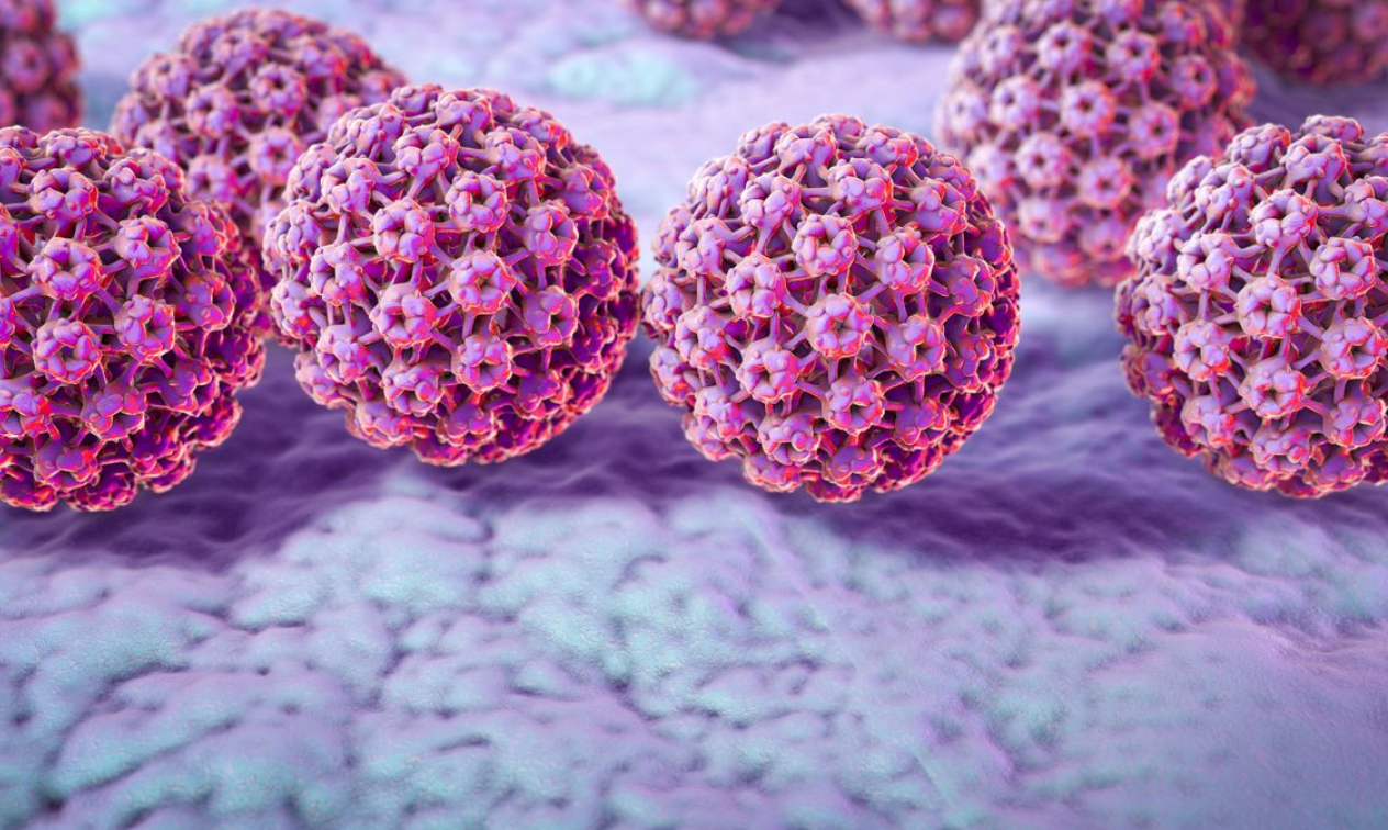 Capture decran 2025 11 19 094731