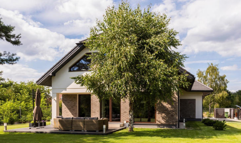 Jardin : cet arbre qu’il ne faut surtout pas planter attire les pires problèmes, selon les experts 2 Jardin : cet arbre qu’il ne faut surtout pas planter attire les pires problèmes, selon les experts Capture decran 2025 11 19 100627