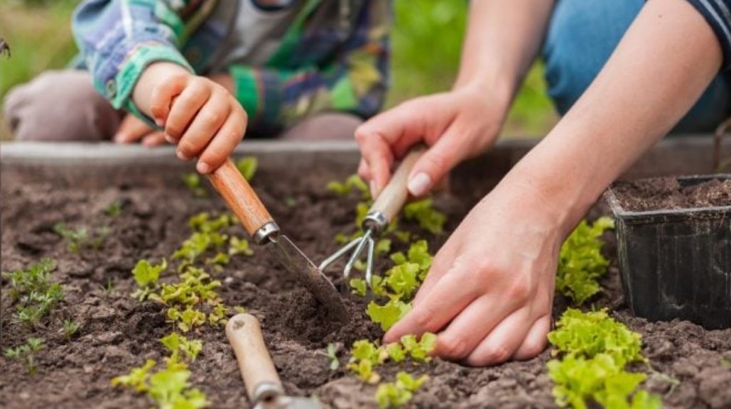 Capture decran 2025 11 19 100632